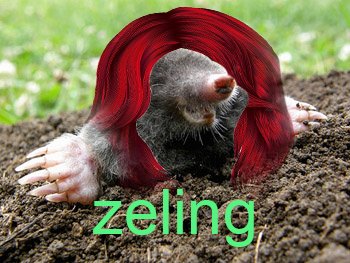 adanmf_21's tweet photo. @StreamsCharts @Twitch @NeurosamaAI @emiru @ironmouse @Jinnytty1 @zentreya @ZeIing @extraemilyy @sylveemhm @alondrisaa pituca https://t.co/mBH3uyASzU