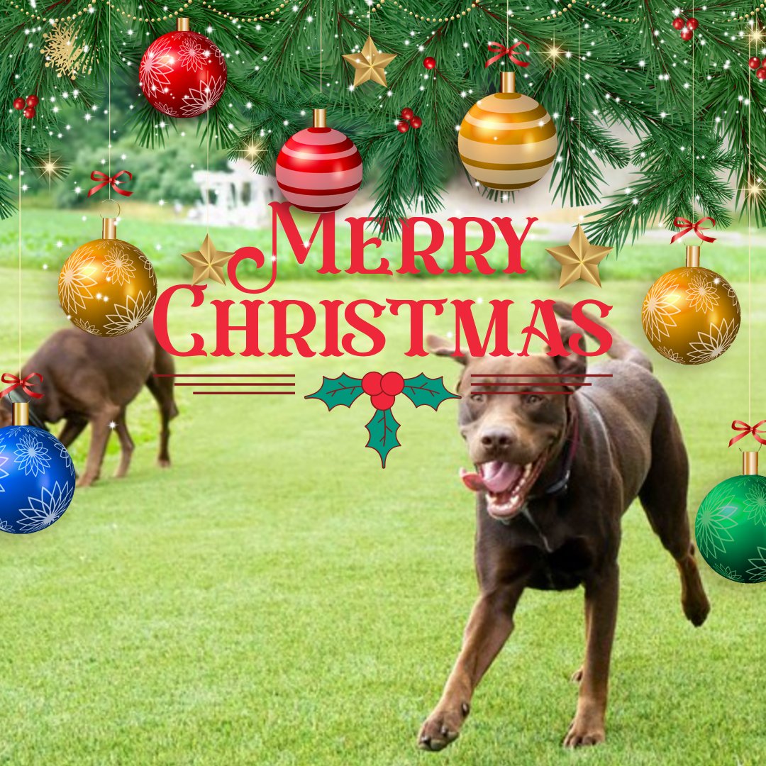 Merry Christmas🎄 and Happy New Years 🎊 
We will remain closed from now until January 6th.