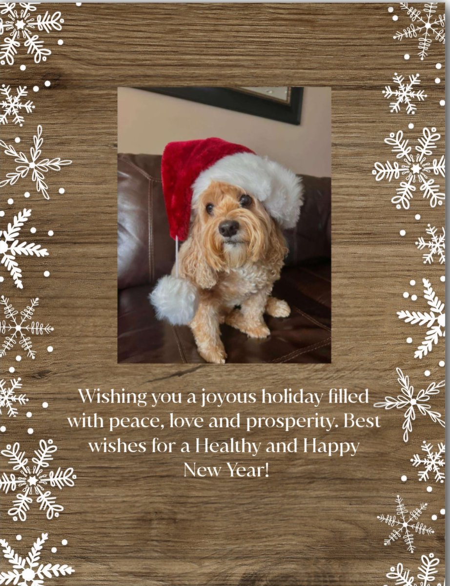 Wishing our family and friends near and far a very Merry Christmas! Much Love, Happines, Health and Peace! 
Que nesta época natalícia a alegria, o amor e a paz estejam sempre presentes, assim como  ao longo do novo ano.
Boas festas!🎅🌲