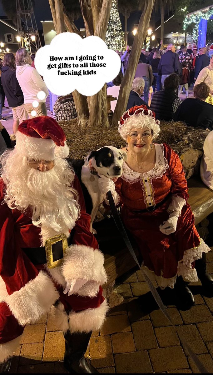 Likeahhh's tweet photo. My brothers dog just met Santa and big guy is going through it https://t.co/ygIroy11cI