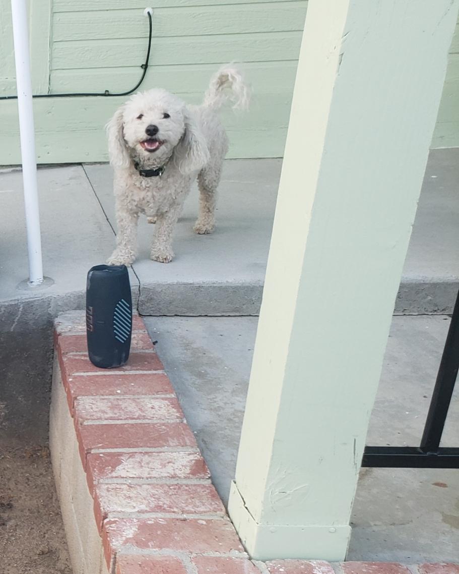 WhiteCuddleBug's tweet image. I see you