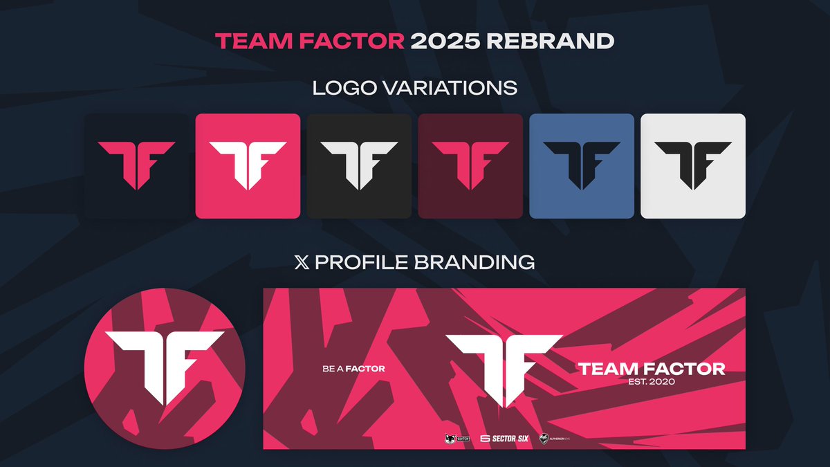 Team Factor tweet media