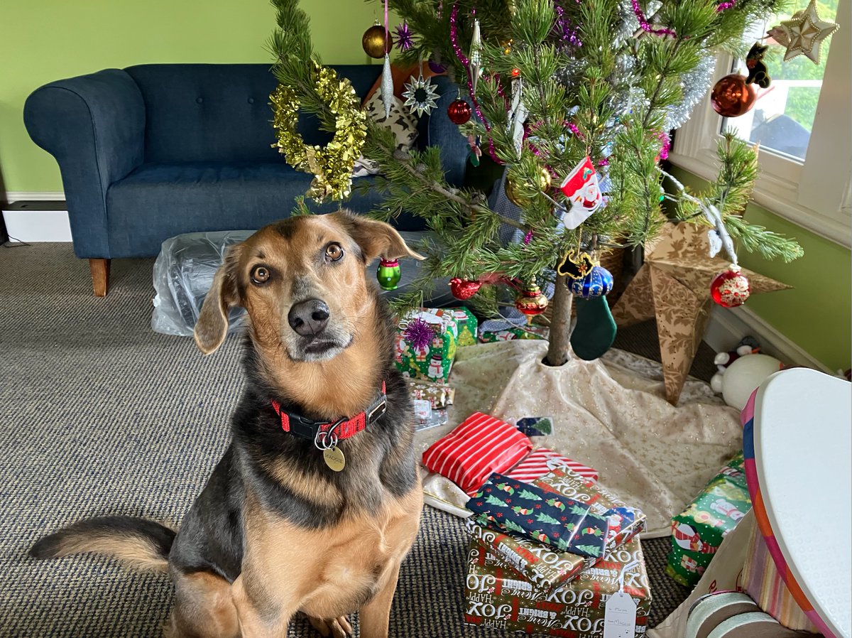 Happiest of holidays from Maggie and her people.