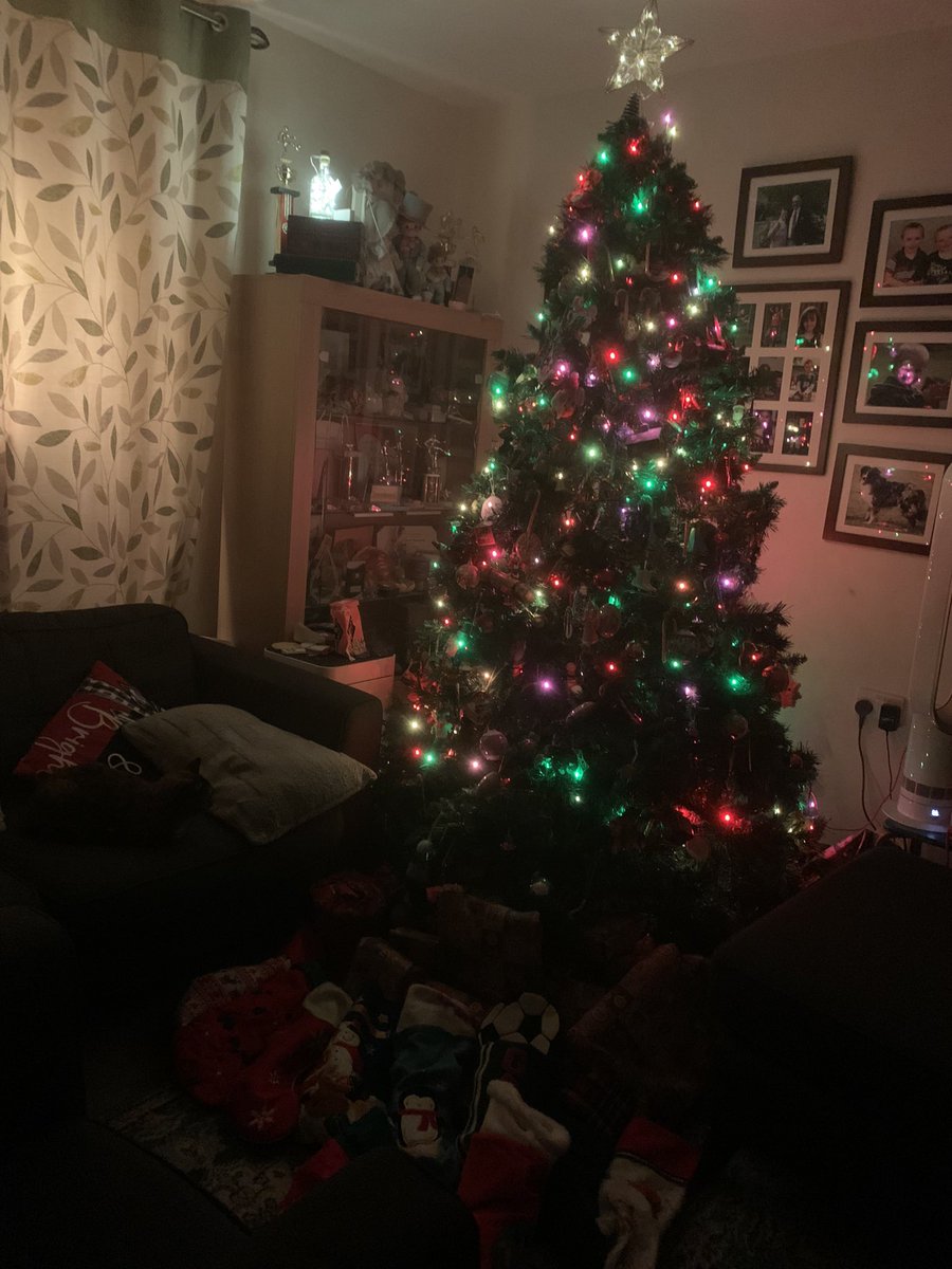 Merry Christmas to those who celebrate!🎅 (Our cat Jynx decided to photobomb the Christmas tree 🎄 photos. 🐈‍⬛)