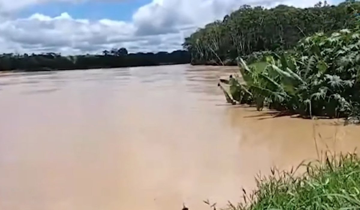 eldiabolivia's tweet photo. Reportan crecida del río Acre en Pando y piden a poblaciones cercanas tomar precauciones
Conoce toda la información >> https://t.co/zMpTQyWY2x

#ElDíaBolivia #CrecidaDeRío #RíoAcre #PandoBo https://t.co/w8bR5PCKCC