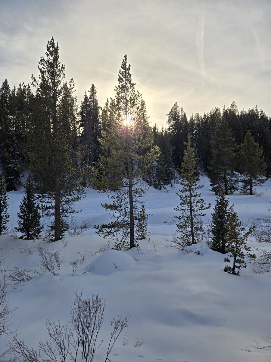 "The closest thing to Heaven on this planet anywhere
Is a quiet Christmas" Eve afternoon "in the Colorado snow."