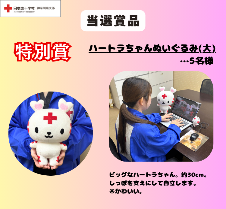 redcross_kng's tweet photo. 当選確率UP？！ SNS限定キャンペーン🎁

／
抽選で40名様に 大人気の #ハートラちゃん グッズをプレゼント✨
＼
《応募方法》
①  @redcross_kng  をフォロー 
②  この投稿をリポスト

キャンペーン概要はこちら▶https://t.co/KKpcVMjYmI

#赤十字 https://t.co/gE0KYlsWbe