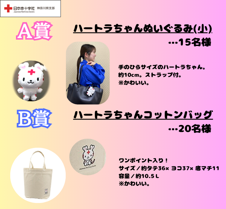 redcross_kng's tweet photo. 当選確率UP？！ SNS限定キャンペーン🎁

／
抽選で40名様に 大人気の #ハートラちゃん グッズをプレゼント✨
＼
《応募方法》
①  @redcross_kng  をフォロー 
②  この投稿をリポスト

キャンペーン概要はこちら▶https://t.co/KKpcVMjYmI

#赤十字 https://t.co/gE0KYlsWbe