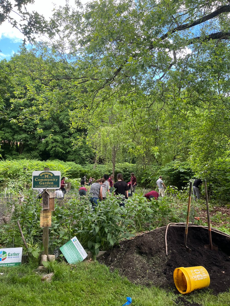 This winter equinox reminds us of the spring greenery we miss. This spring, Gather New Haven revived the Mansfield St. Garden (The Sanctuary), with Zion (a Gather staff memeber) as coordinator and help from friends, volunteers, and neighbors, transforming it into a beloved gem.