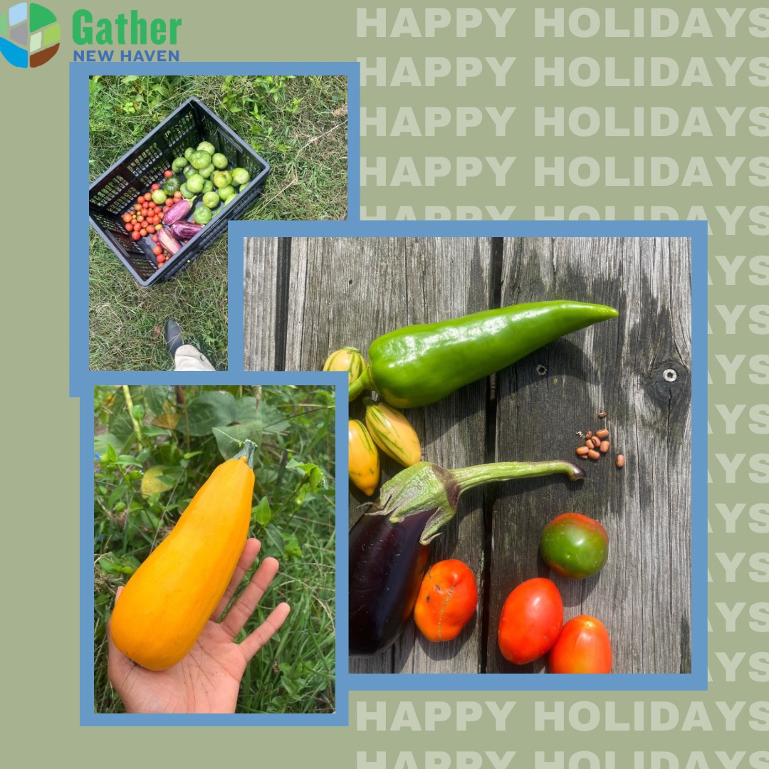 As we gather with family, we're grateful for the farmers and community gardeners who’ve provided fresh, healthy food all year. Whatever your celebration, we hope you share nourishing, culturally relevant meals. Happy Holidays from Gather New Haven!
