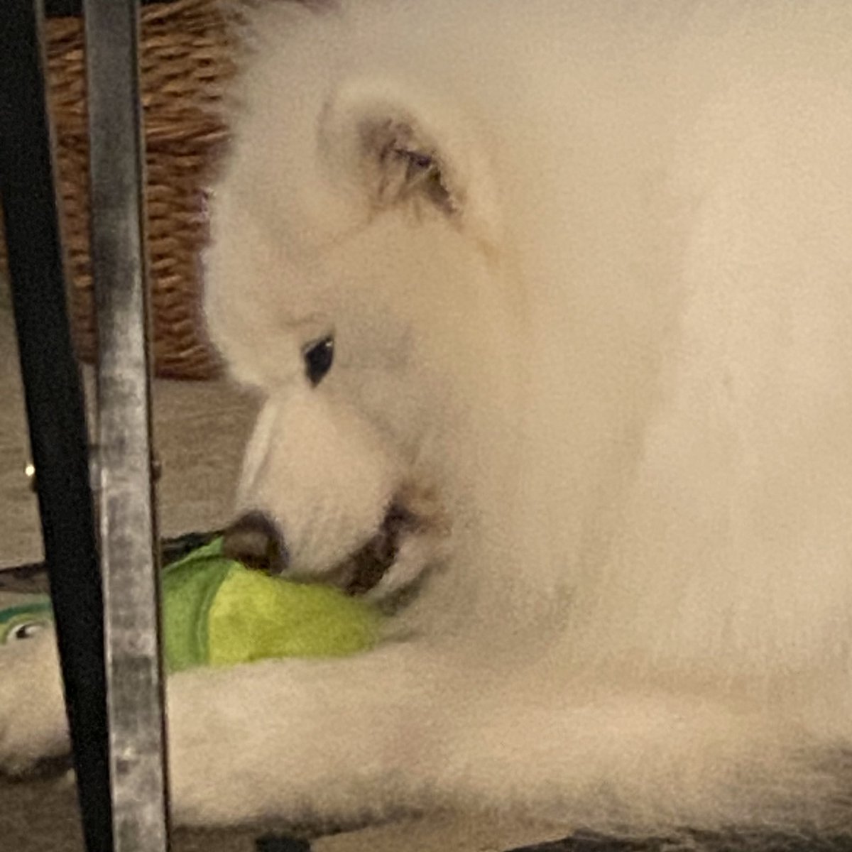 playing wif my Touys,