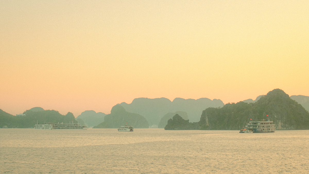 trishaprile's tweet photo. landscapes of vietnam https://t.co/vshQ5fMcsM