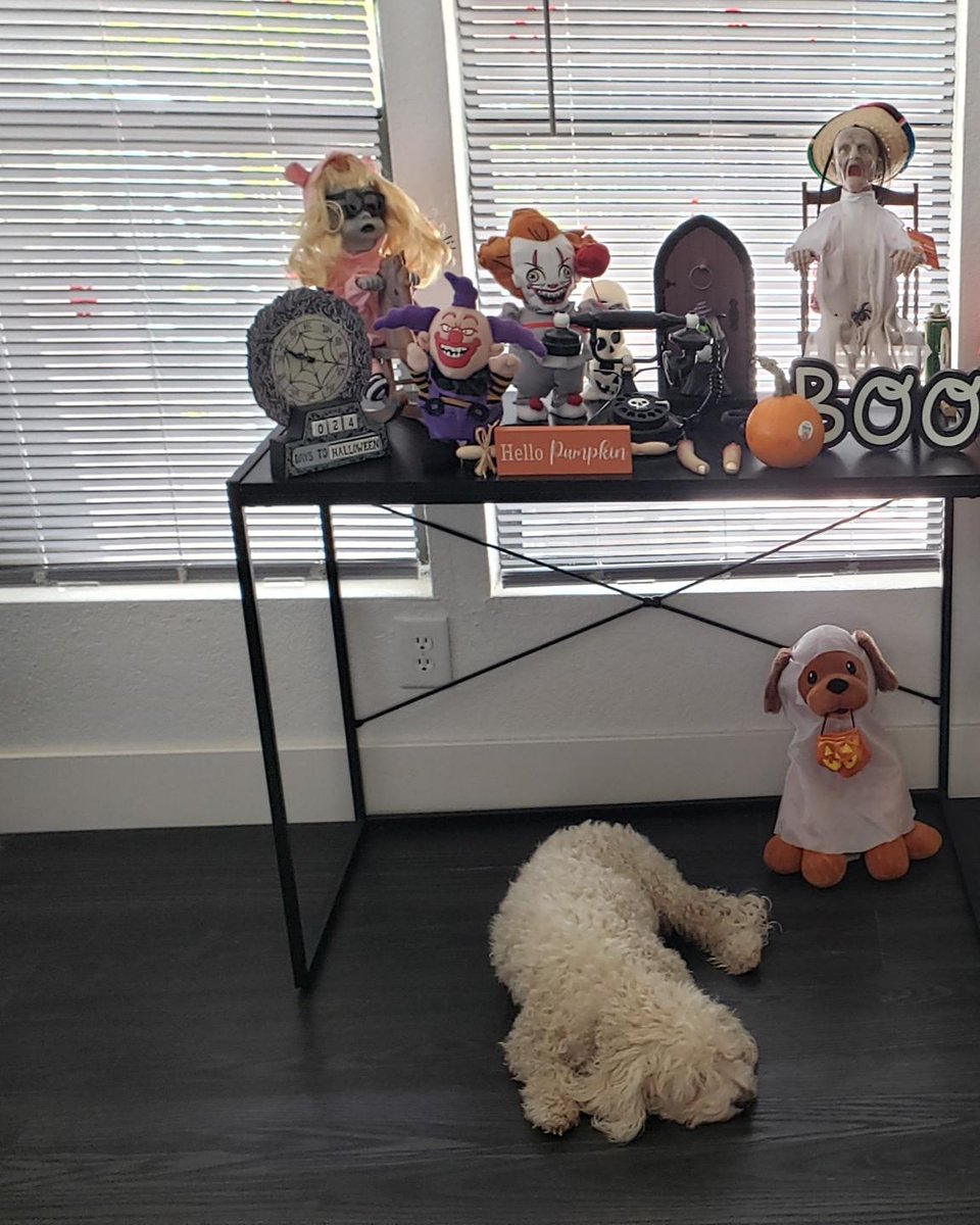 WhiteCuddleBug's tweet image. Forgot to post this during October 2024