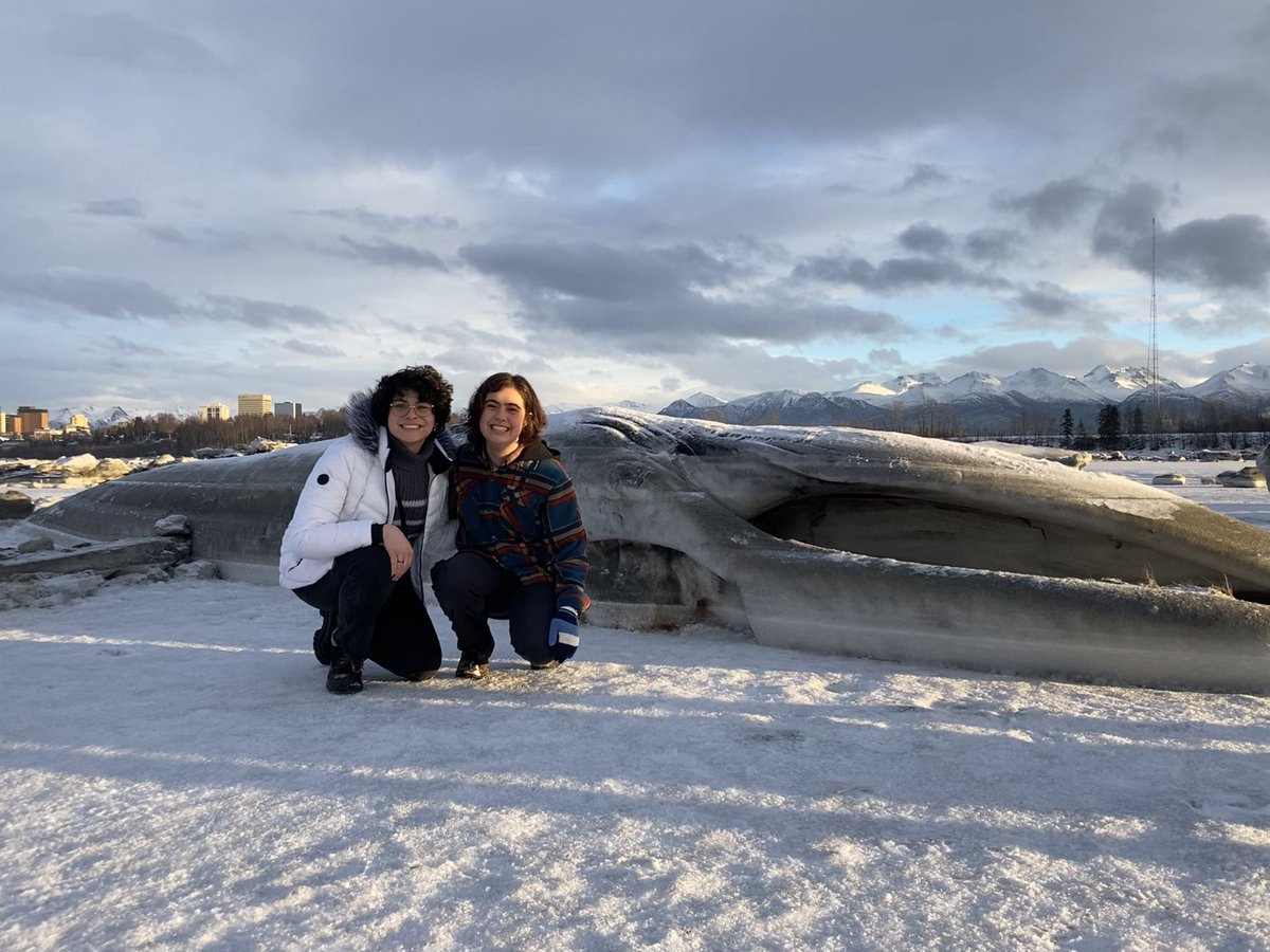 Barrerasaurus's tweet image. 🎄🐋 Christmas Whale 🐋 🎄
Juvenile Fin Whale, Anchorage, Alaska.
