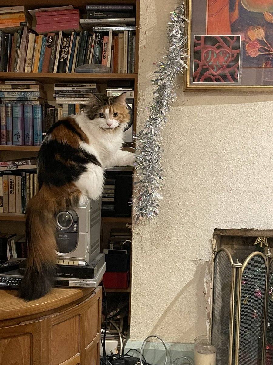 Merry Christmas and love to you all from Saffia, Greg, and Sinead/Molly Plume/Lady Whitetum/Sinead Stylites