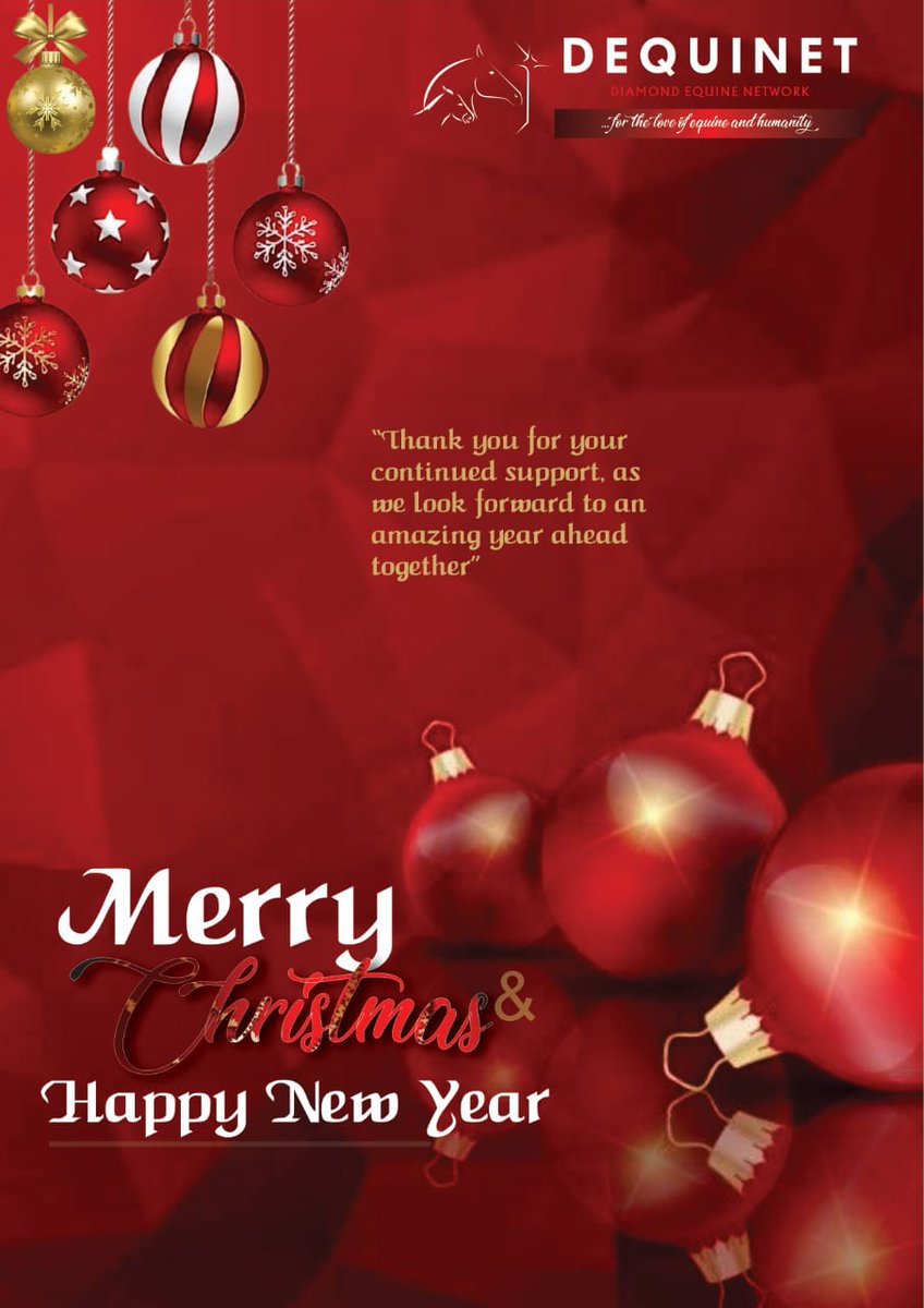 Wishing you and your family a merry and bright Christmas 🎄 🎁