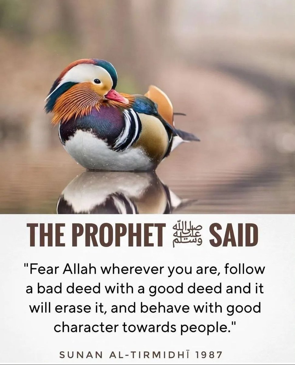 The Prophet (ﷺ) said: