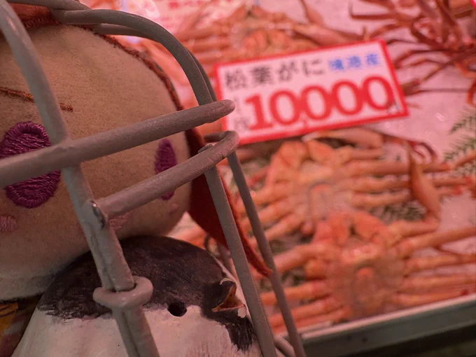 鳥取来て初手カニでこがらさん大興奮 