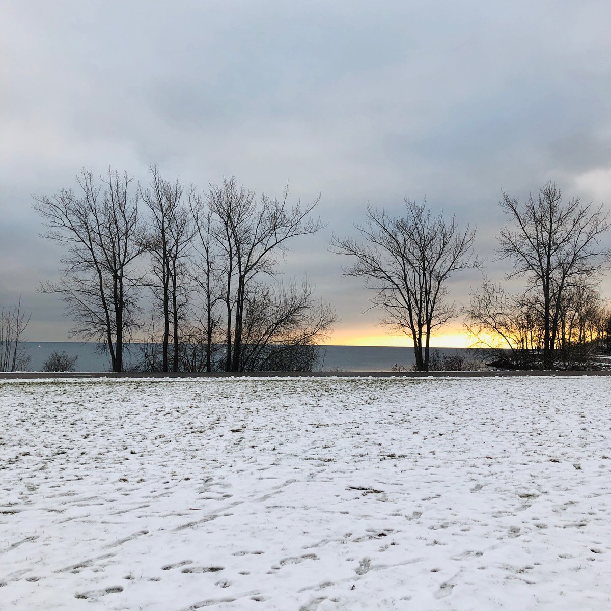 ReceivingTree's tweet image. 🛸🤍Merry Merry Christmas!🌳❄️🌟