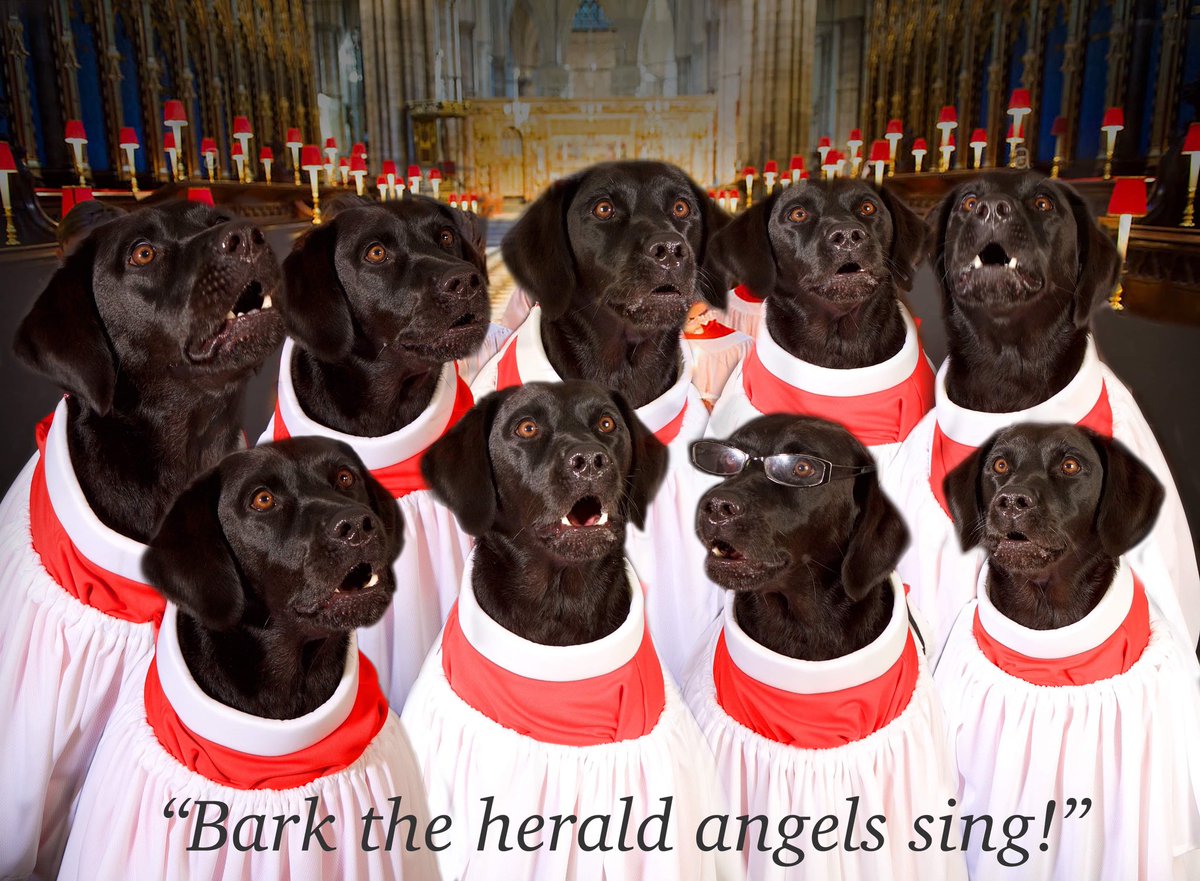 Sarah Morris tweet media