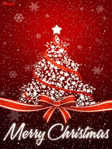 umpanga's tweet photo. @AmitabhJha3 Merry Christmas to all Darvaxians 🌲🌲🌲 https://t.co/OuuBp0O5tI