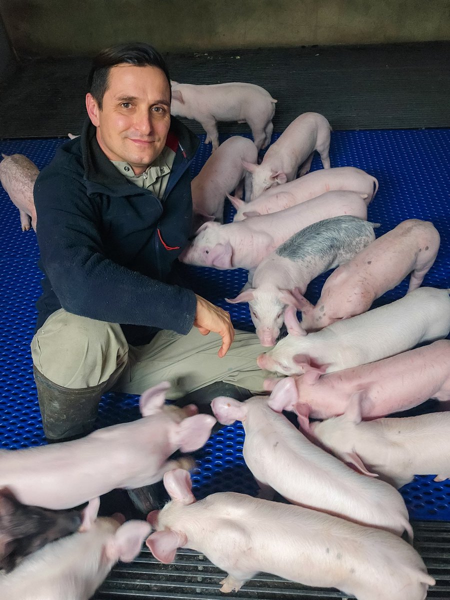 Bon Noël à tous le monde et surtout bon courage à ceux qui bosse 😁🎅😘 #Agriculture #agriculteurs #porc <a href="/EleveursPorcins/">FNP</a> <a href="/inaporc/">INAPORC</a>