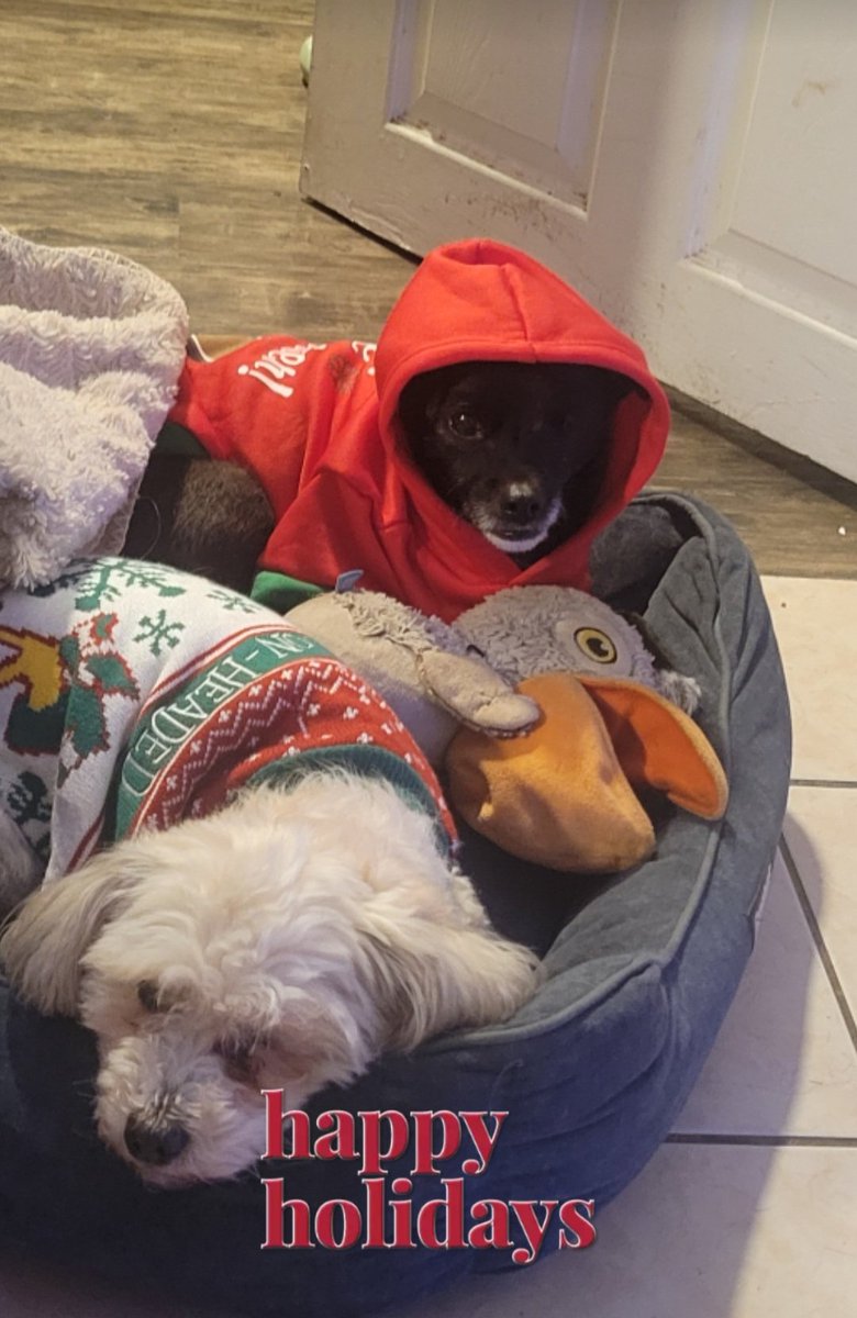 Merry Christmas Eve, everyone 🎄