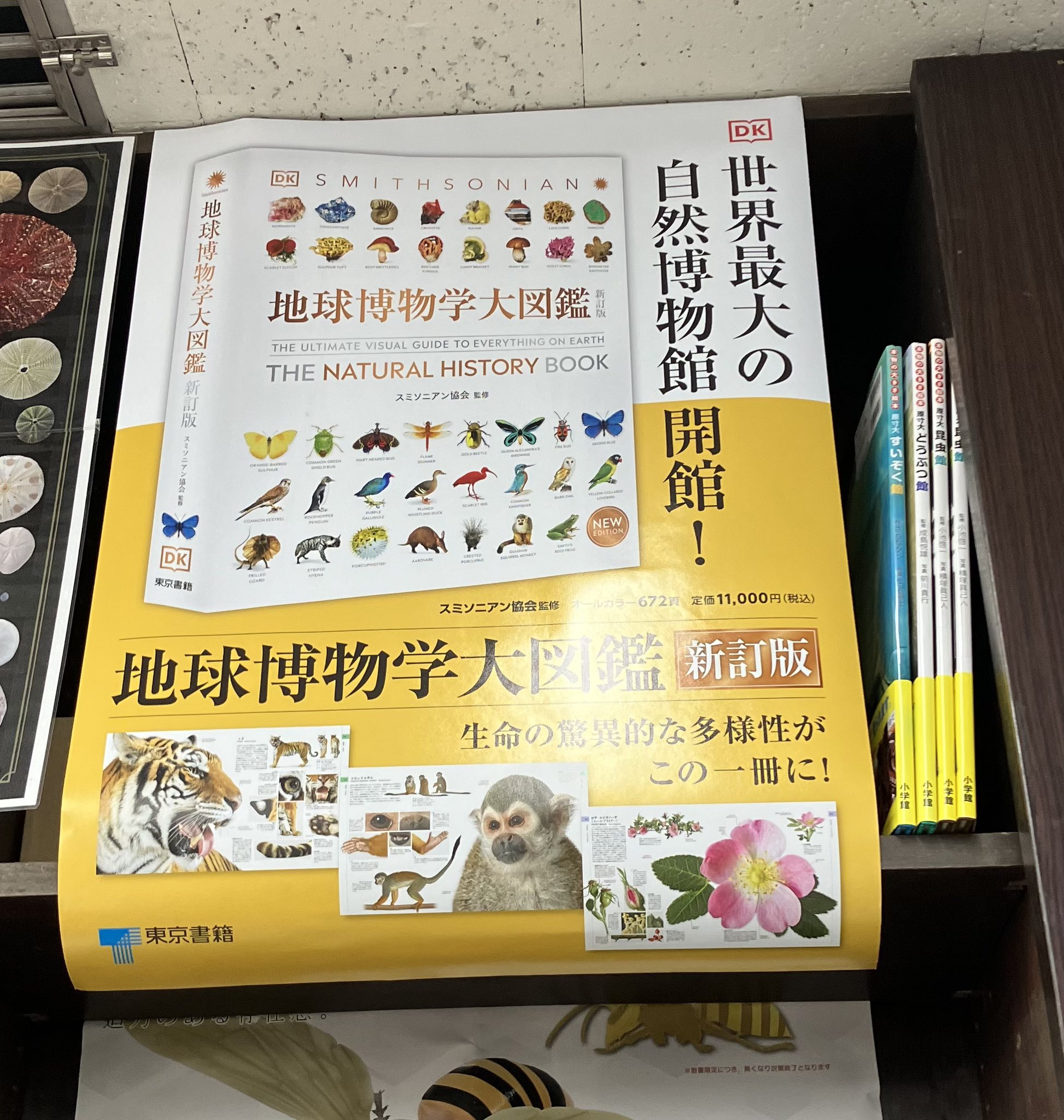 地球博物学大図鑑 スミソニアン協会(監修) - 東京書籍 | 版元