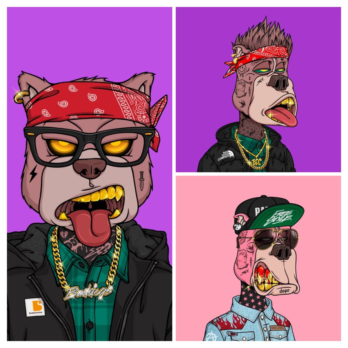 SPLASH1967🇨🇦|🐷🟪⚡️... (@allanchrs) on Twitter photo I had an itch that needed scratching…
I’m content <a href="/BadDogsCompany/">Bad Dogs Company</a> …
This shit is 🔥🔥🔥 …✌️ I had an itch that needed scratching…
I’m content <a href="/BadDogsCompany/">Bad Dogs Company</a> …
This shit is 🔥🔥🔥 …✌️