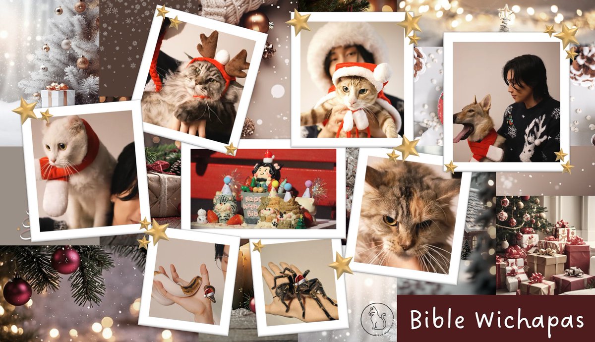 BibleSupportTH2's tweet image. ็็Happy Bible's day with your kids

BIBLE WAS BORN ON CHRISTMAS 

#HappyBIBLEday27th
@biblesumett
#BibleWichapas