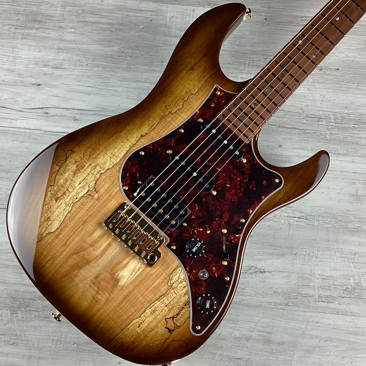 エレキギター】 今まで海外のみの取扱だったFUJIGEN(FGN) Expert