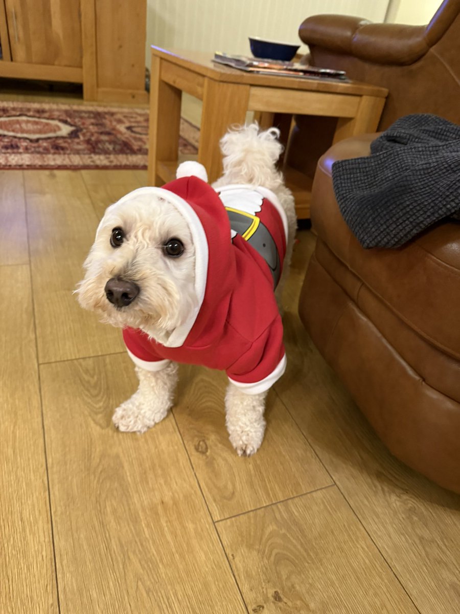 PolyCrunch's tweet photo. Merry Christmas everyone (if you celebrate) https://t.co/JYAZnAY8oL