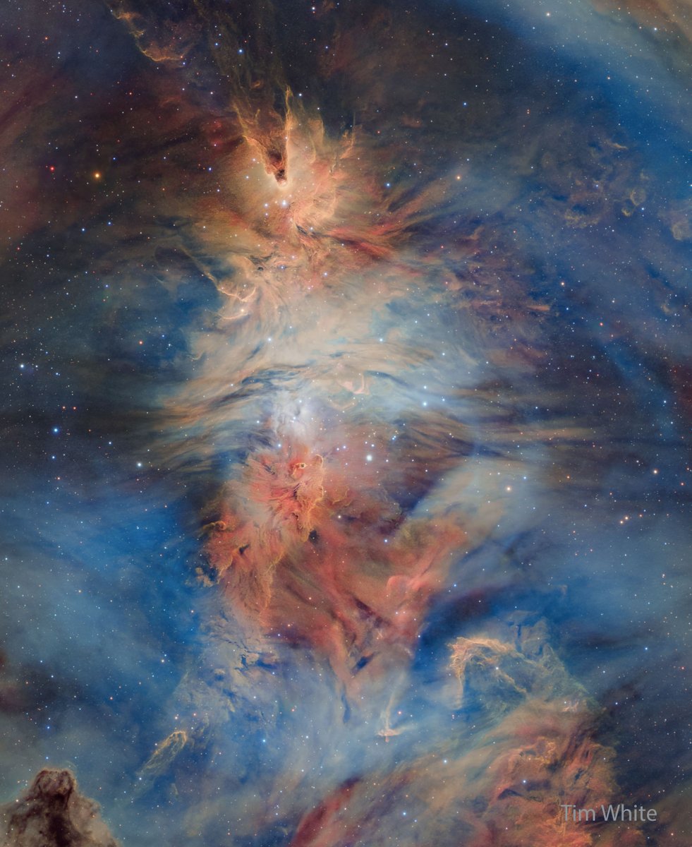apod's tweet photo. What do the following things have in common: a cone, the fur of a fox, and a Christmas tree? Answer: they all occur in the constellation of the Unicorn (Monoceros). Considered as a star forming region and cataloged as NGC 2264, the complex jumble of cosmic gas and dust is about 2,700 light-years distant and mixes reddish emission nebulae excited by energetic light from newborn stars with dark interstellar dust clouds. The featured image spans an angle larger than a full moon, covering over 50 light-years at the distance of NGC 2264. Its cast of cosmic characters includes the Fox Fur Nebula, whose convoluted pelt lies just to the left of the image center, bright variable star S Mon visible just to the right of the Fox Fur, and the Cone Nebula near the image top. With the Cone Nebula at the peak, the shape of the general glow of the region give it the nickname of the Christmas Tree Cluster, where stars are tree ornaments.

Image Credit & Copyright: Tim White