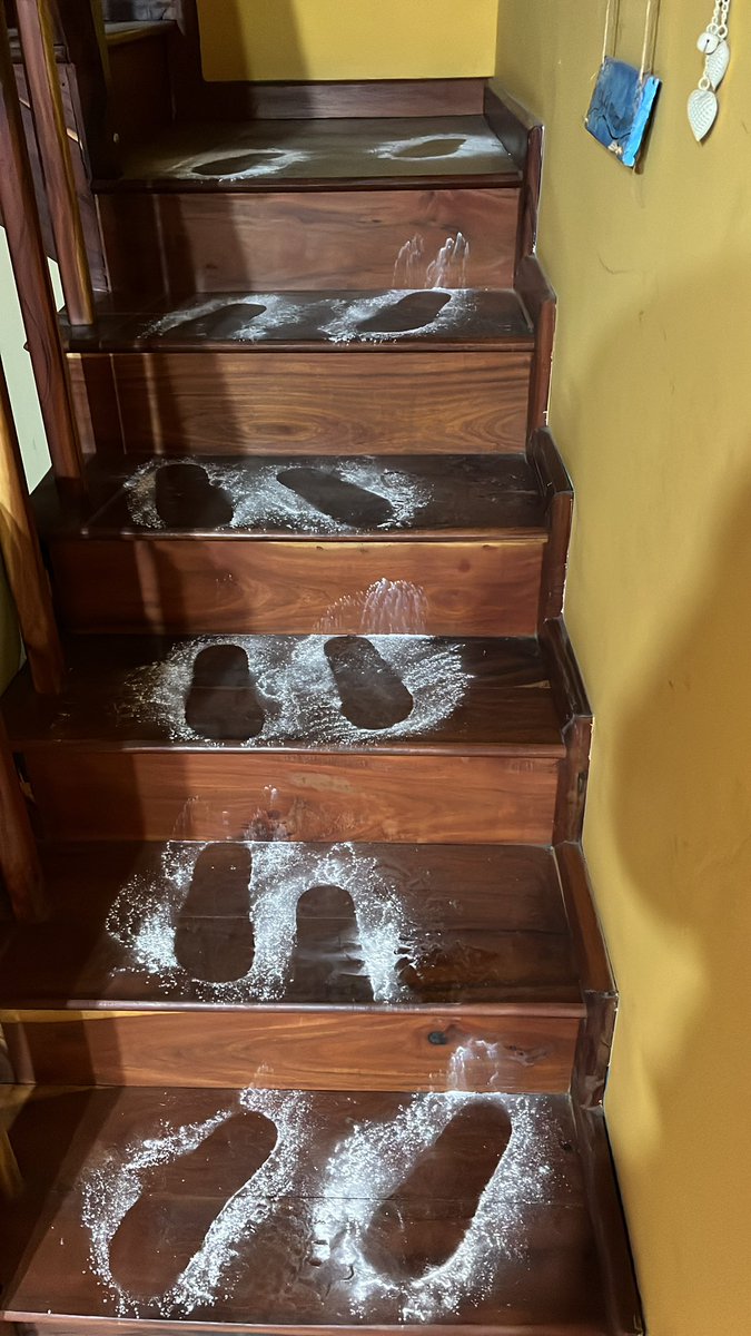 Gente, paso el homer por mi casa