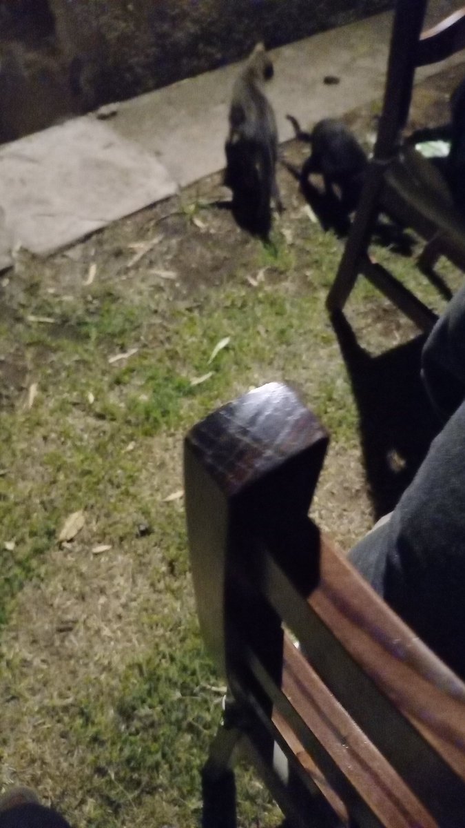 Ptamare está haciendo frío wtf