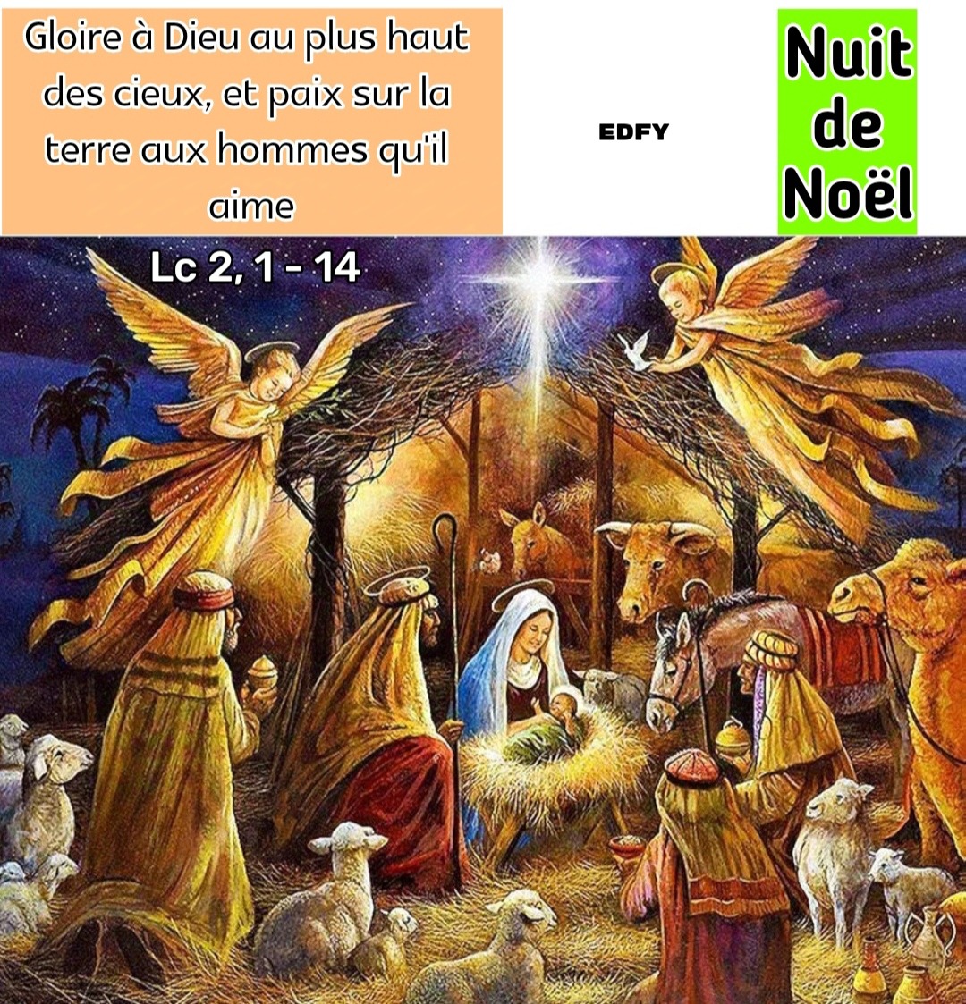 JKasBiryeka's tweet photo. Joyeux Noël à tous ! https://t.co/pvYz28RwbJ