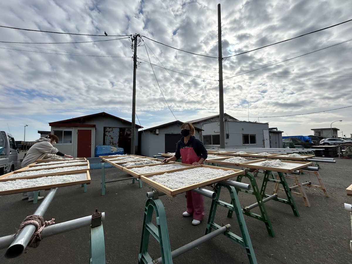 aicando's tweet image. 大磯港⚓️しらす直売店年内営業30日までだそう。食べたい。地元のとれたてのめぐみ。