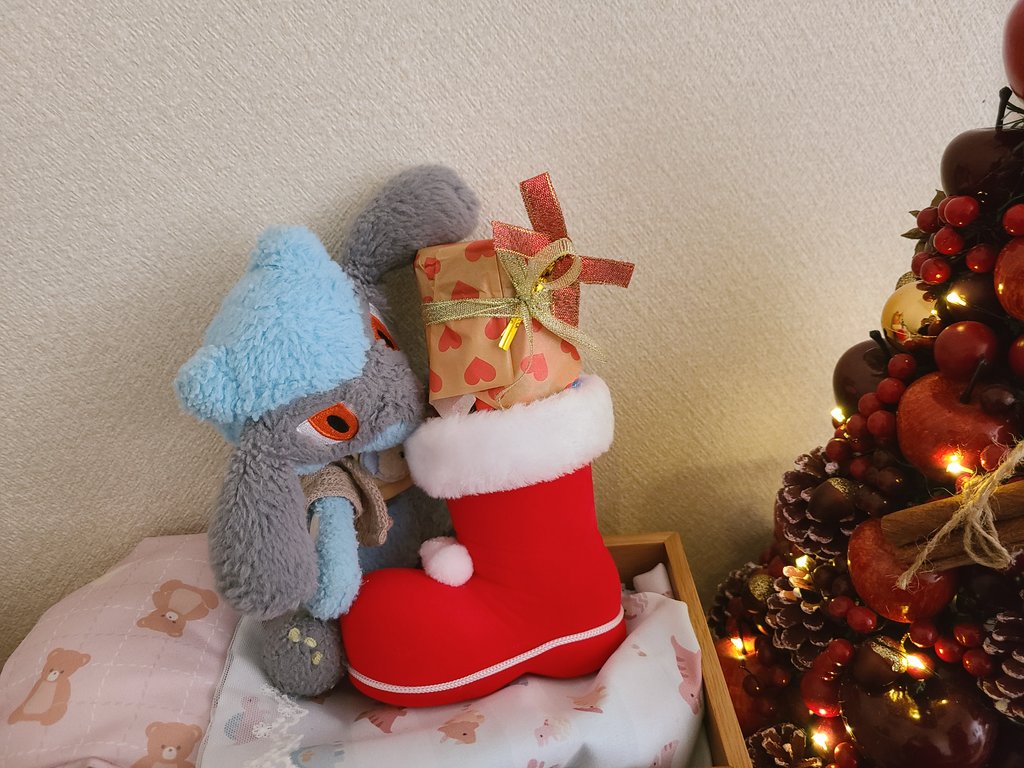 りおる、良い子だからサンタさん来たね！