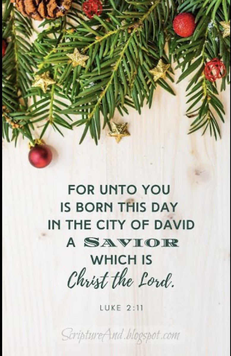 MB from Texas tweet media