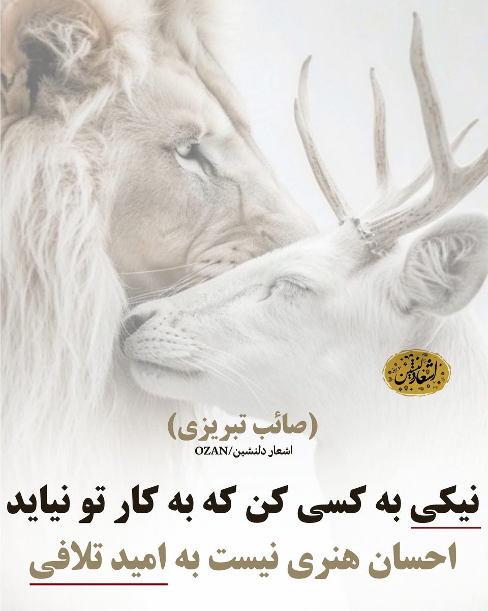 Sayedhasib00's tweet photo. https://t.co/X8kryIpeyx