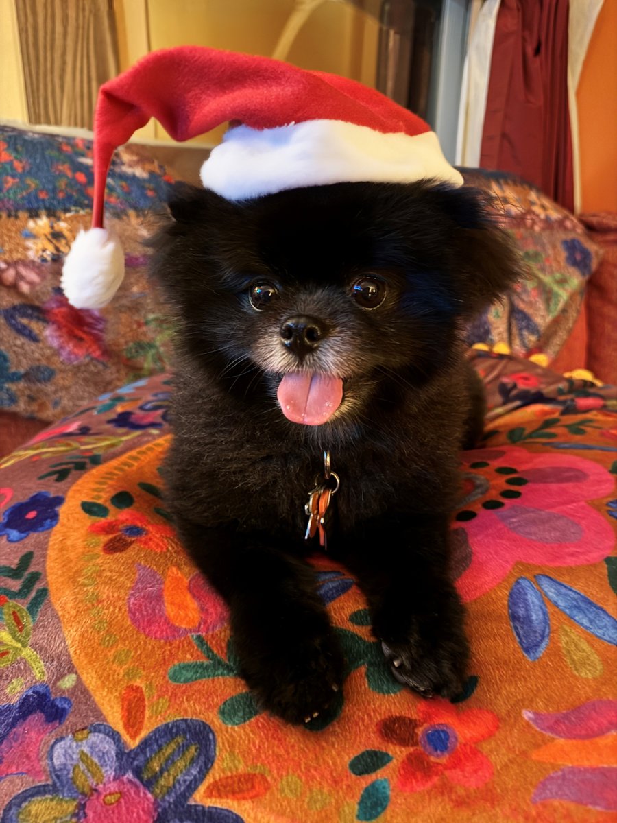 Sending greetings of the season!
<a href="/jeananyasirimoe/">Jeanan Yasiri Moe</a>, our doggy, "The Marshal" and I wish you and those who bring you joy a restful and safe holiday season and the happiest of new years.