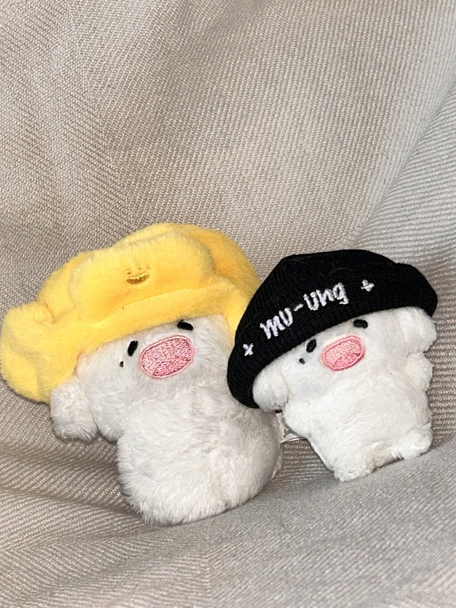 ayla 풉 ໒꒱ tweet media