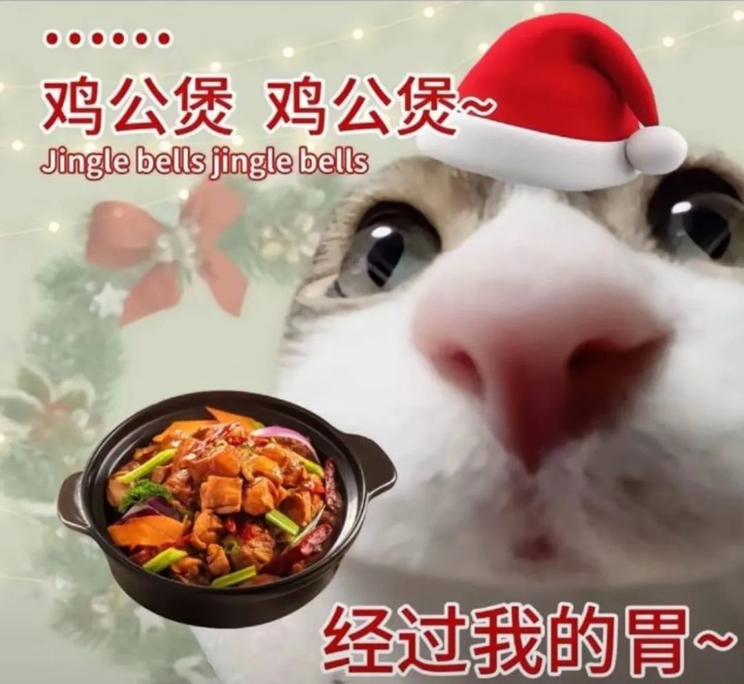 媒体预览