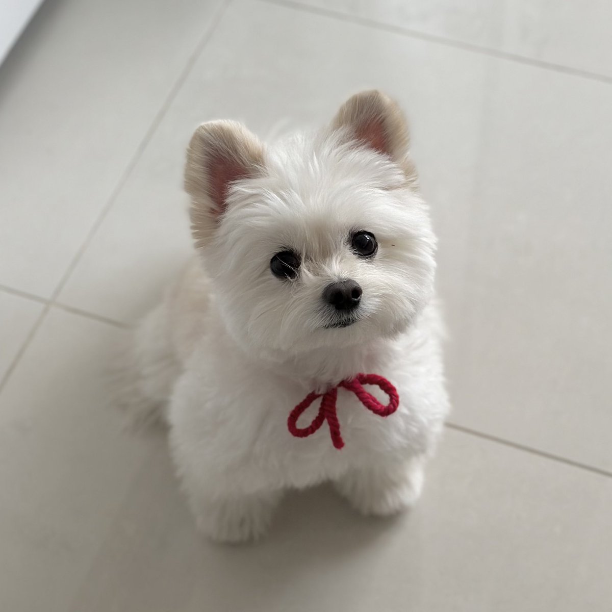 내 선물은??                   네 목에 달아준 그거...