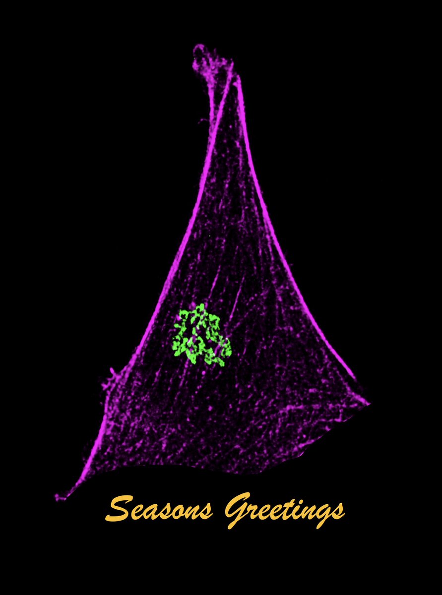Seasons Greetings !!
(image credit <a href="/AntaraC9/">Antara Chakraborty</a>)