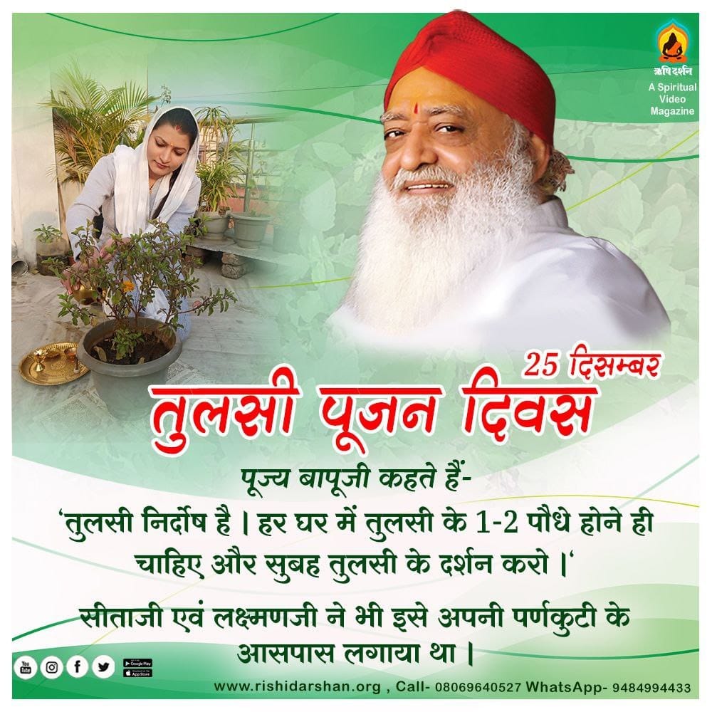 25 December 👇
#TulsiPujanDiwas
तुलसी की पूजा करने से घर में बरकत होती है तथा स्थाई लक्ष्मी का निवास होता है। यह भगवान विष्णु की प्रिया रूपा है।
-- Sant Shri Asharamji Bapu