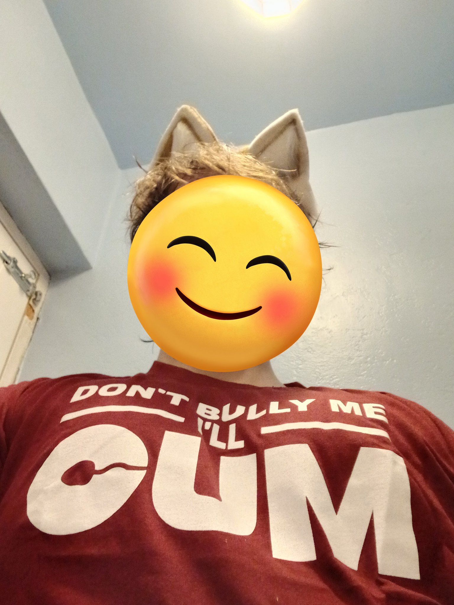 1 pic. Happy holidays! Ty for all the gifts! My favourite game is trying to explain them to normies :3 https://t.co/F5V8X2we9h
