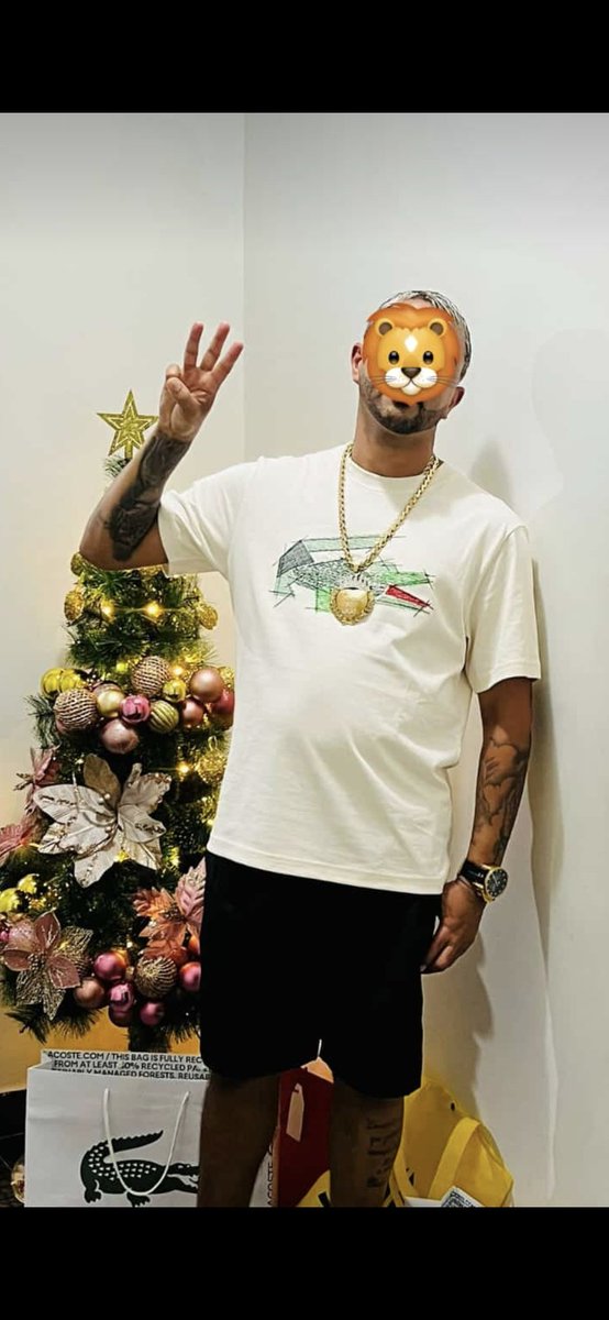 🐊🐊🐊