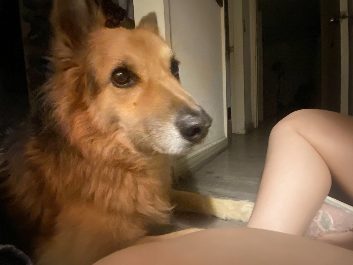 Que estupidez es esta de tirar fuegos artificiales en navidad. El pobre está aterrado