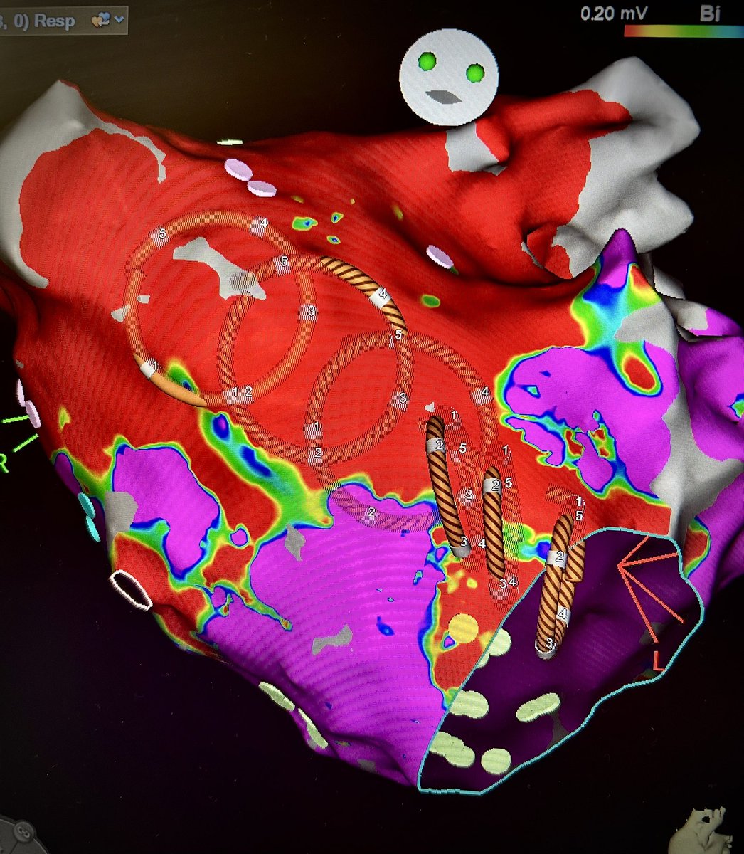 Nick Kotch tweet media